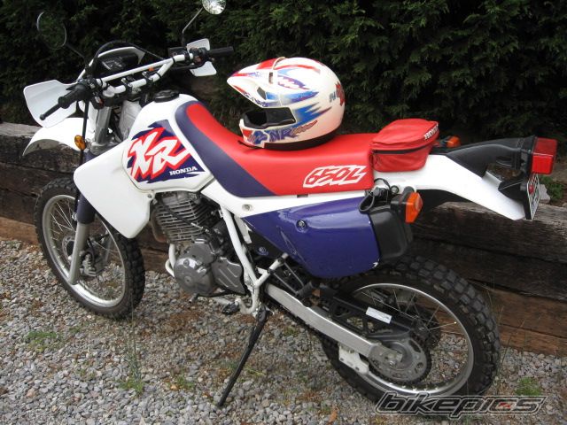 1996 HONDA XR 650 | Picture 1254031 motorcycle photo
