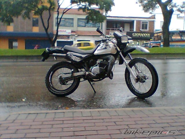 1998 SUZUKI TS 125 | Picture 1254184 motorcycle photo