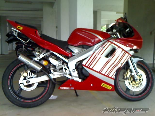 2008 YAMAHA TZM 150 | Picture 1254328 motorcycle photo