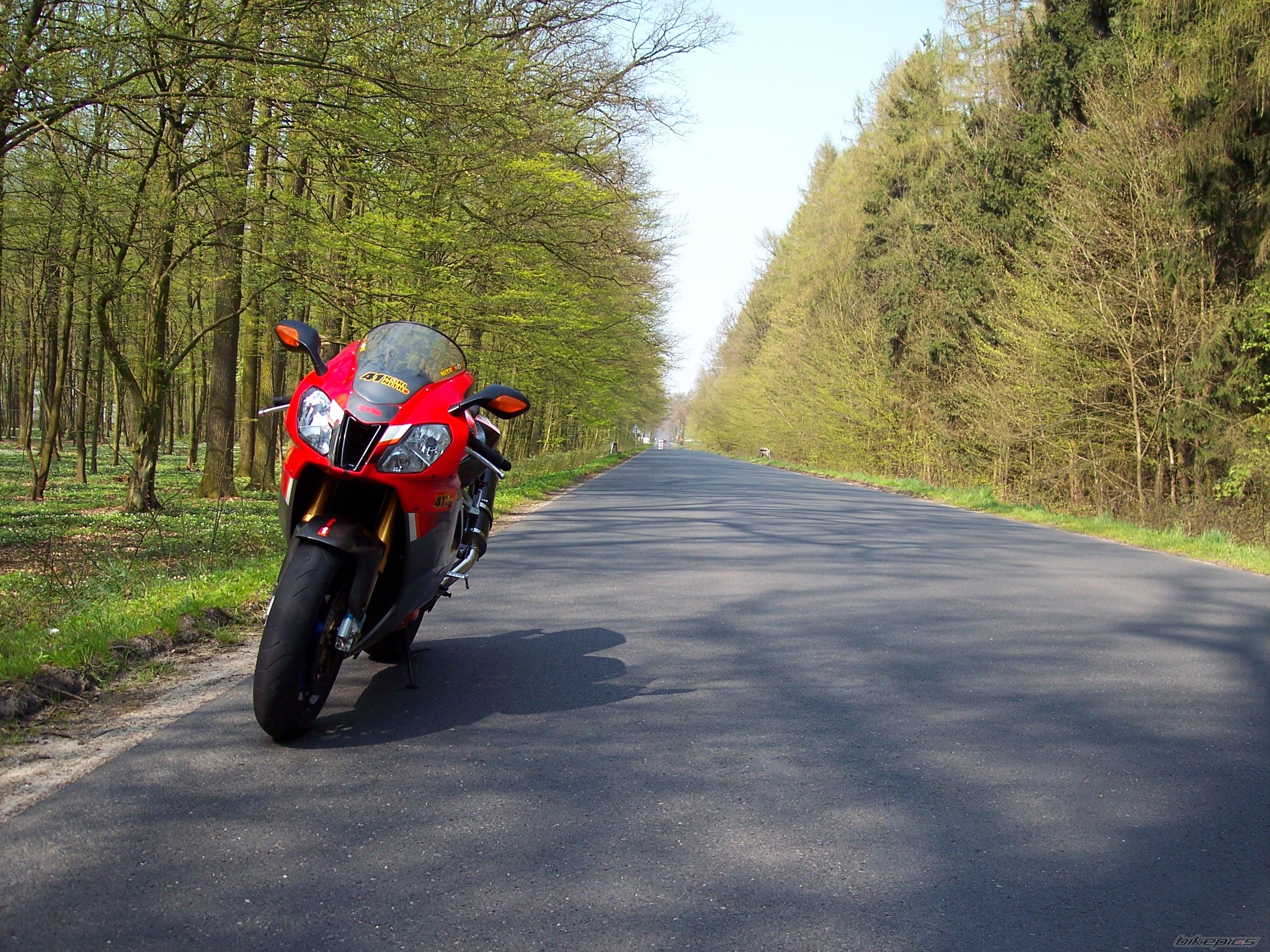 2004 APRILIA RSV MILLE FACTORY | Picture 1254365 motorcycle photo