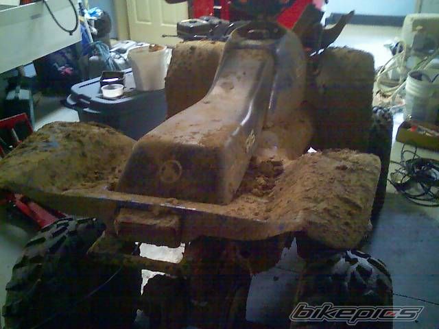 2003 POLARIS TRAIL BLAZER 250 | Picture 1254562 motorcycle photo