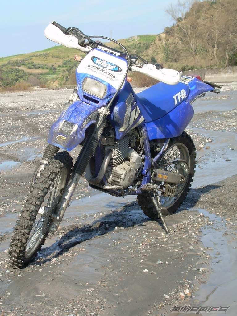 2000 YAMAHA TTR 250 | Picture 1254932 motorcycle photo