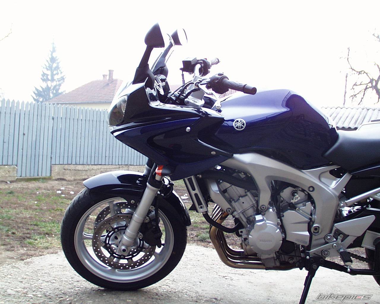 2004 YAMAHA FZS 600 FAZER | Picture 125509 motorcycle photo