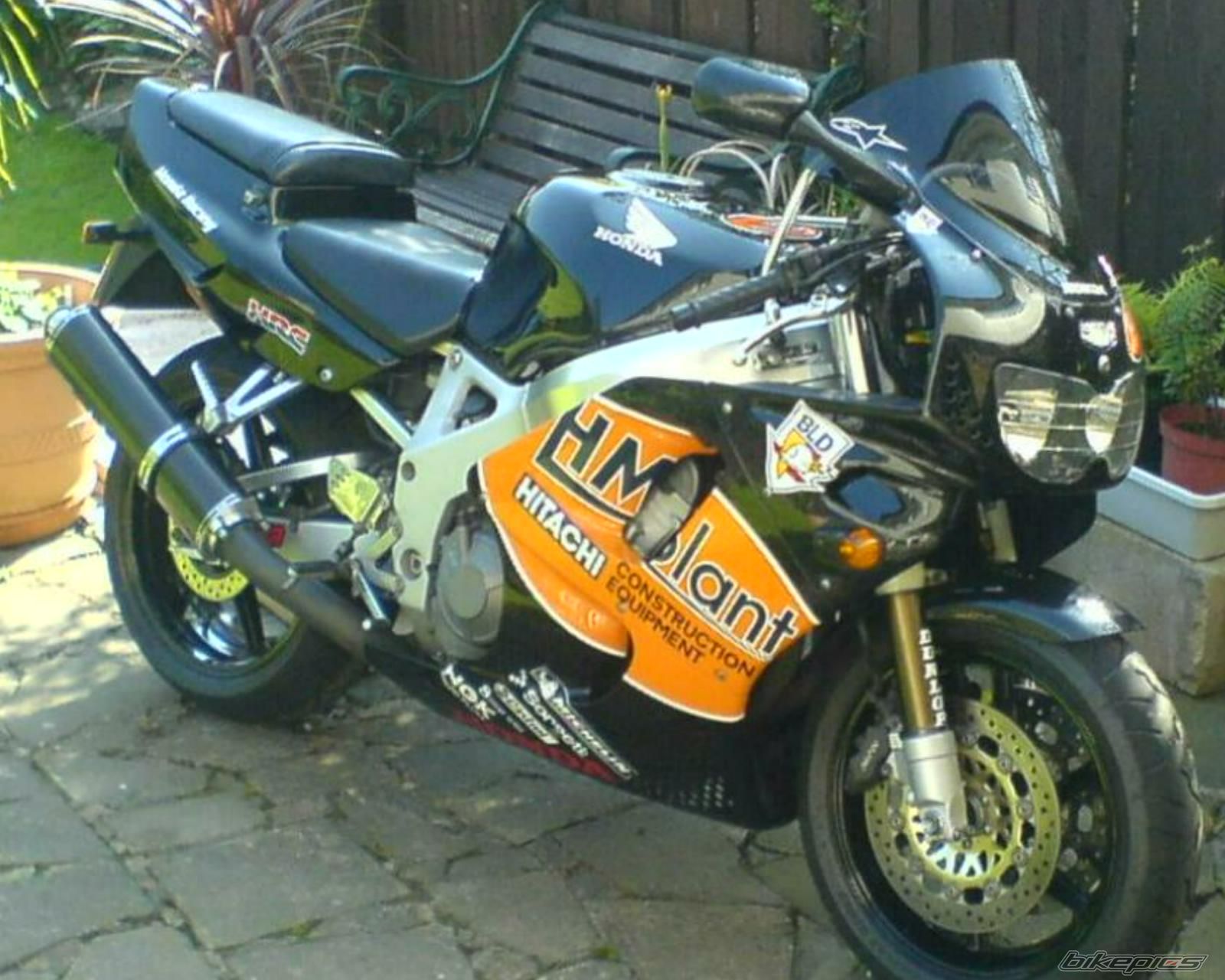 1995 HONDA CBR 900 | Picture 1255639 motorcycle photo