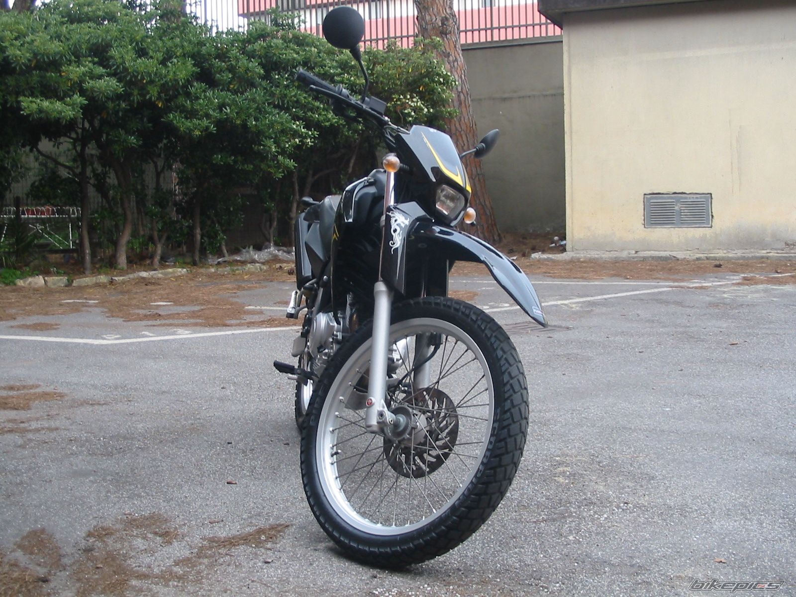 2006 YAMAHA XT 125 | Picture 1255658 motorcycle photo