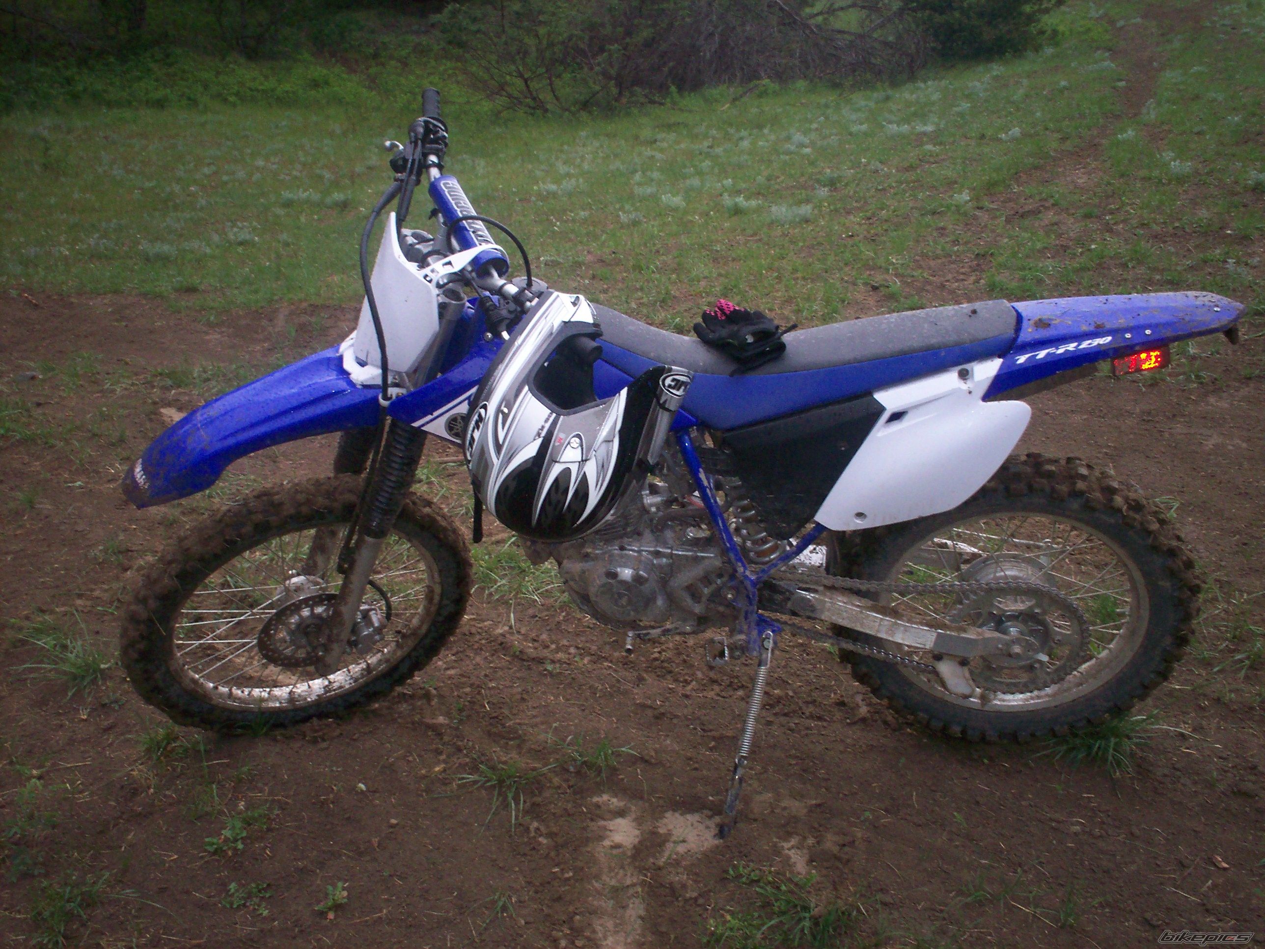2007 YAMAHA TTR 225 | Picture 1256260 motorcycle photo