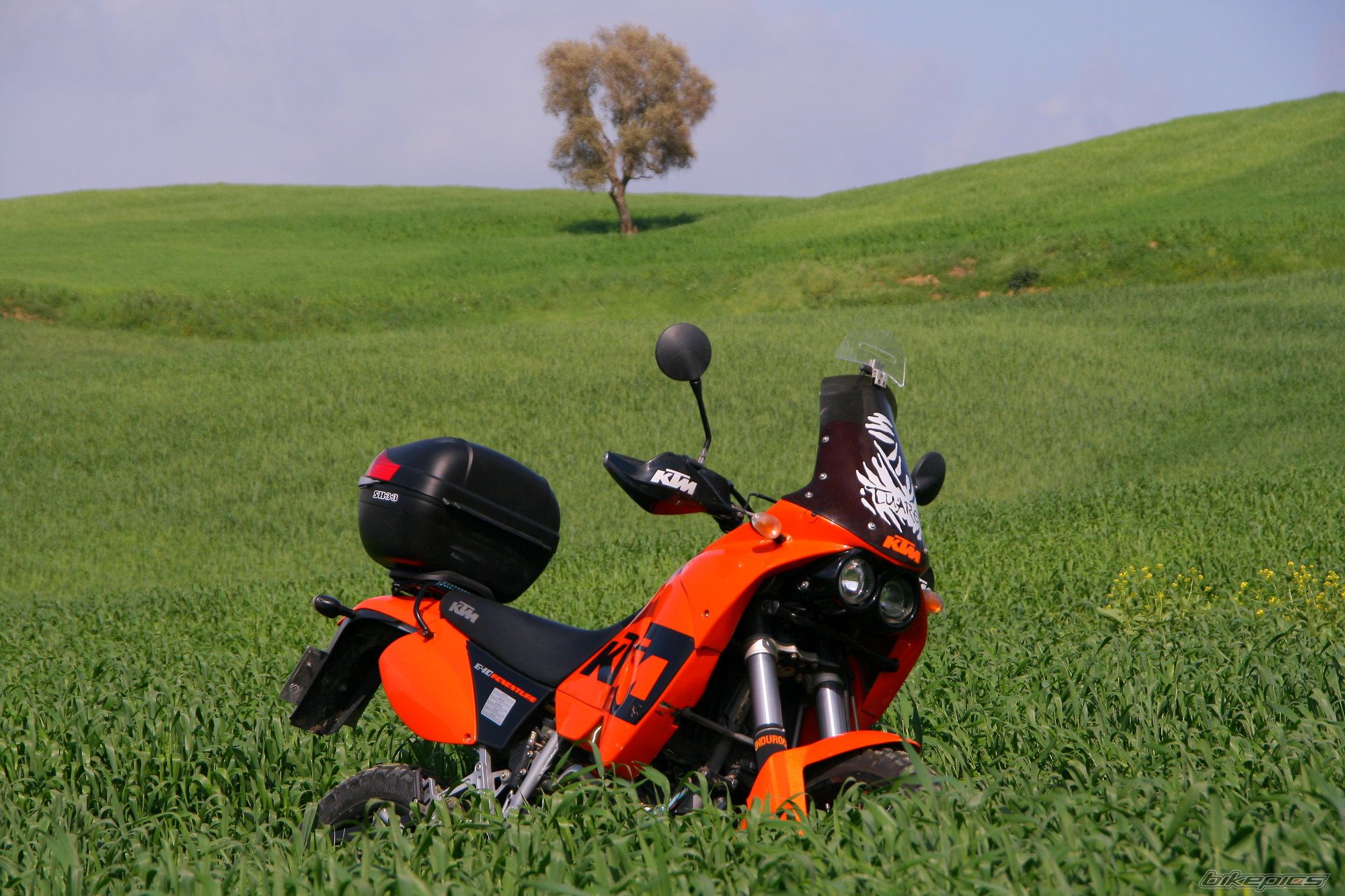2004 KTM 640 ADVENTURE R | Picture 1256273 motorcycle photo