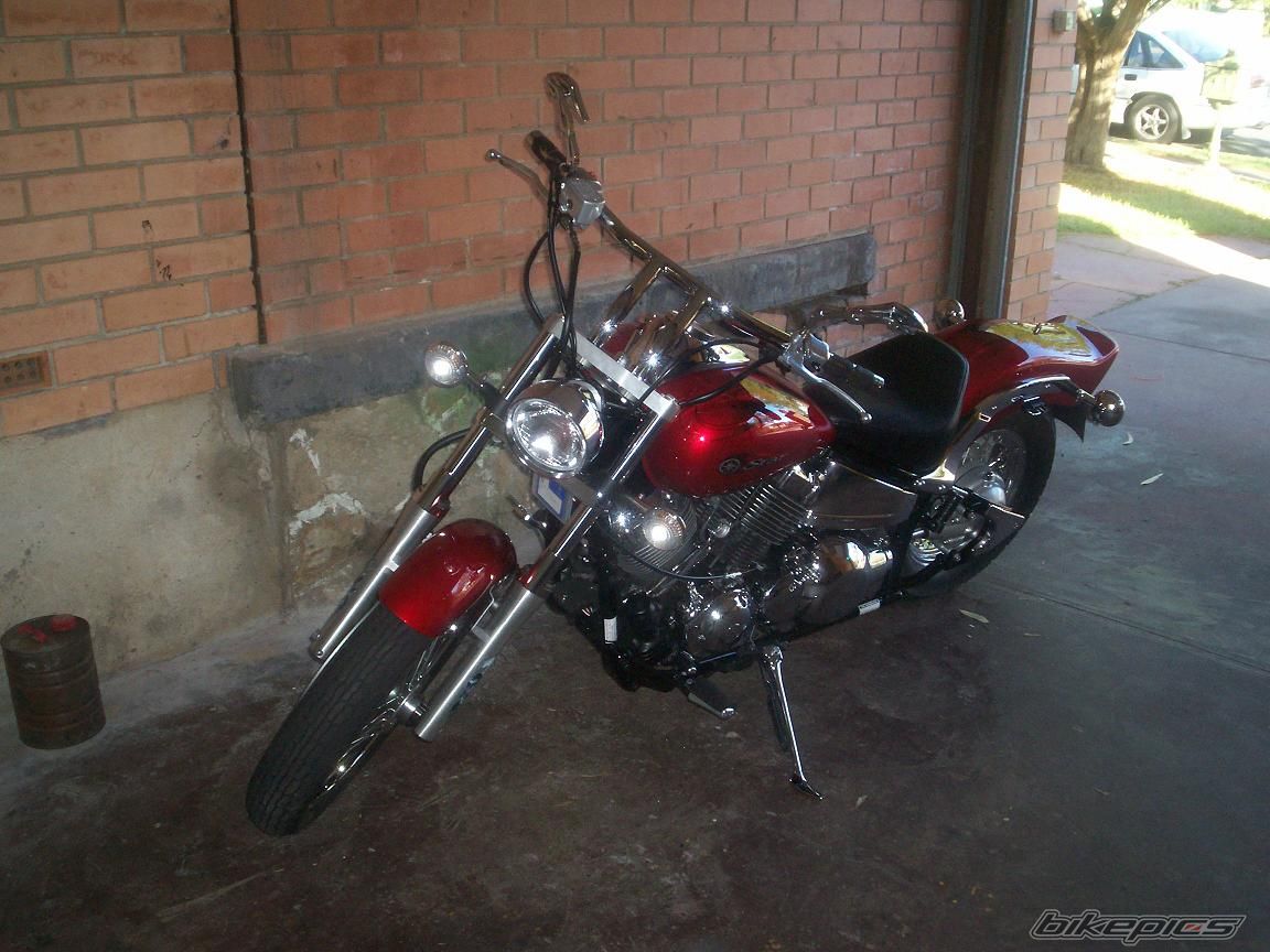 2008 YAMAHA XVS 650 V STAR | Picture 1256346 motorcycle photo