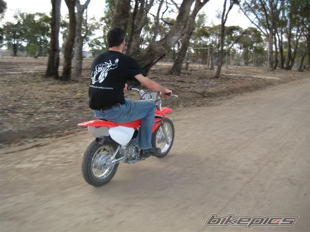 2008 HONDA CRF 70 | Picture 1256459 motorcycle photo