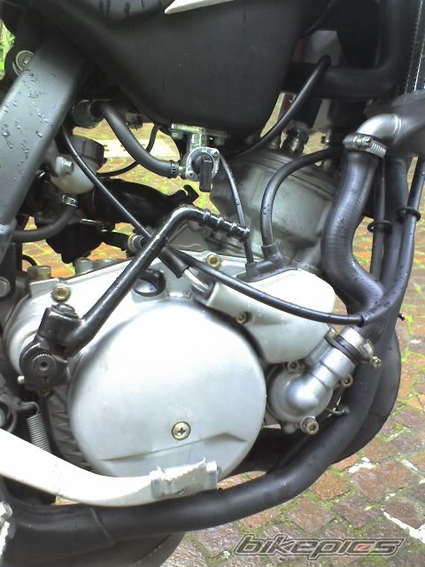 2006 BETA RR 50 | Picture 1256529 motorcycle photo