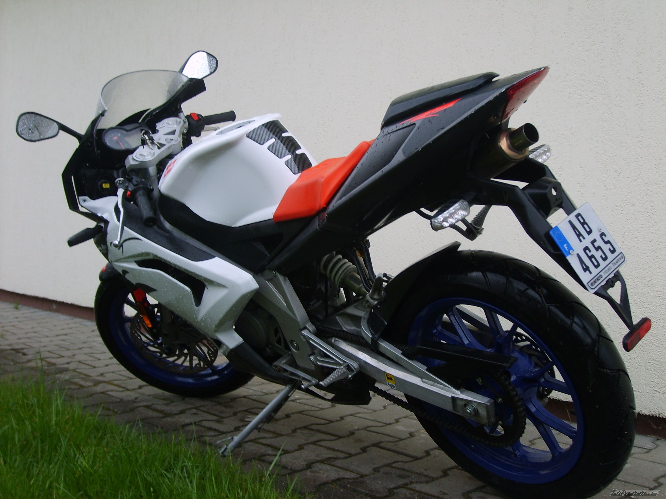 2008 APRILIA RS 50 | Picture 1256550 motorcycle photo