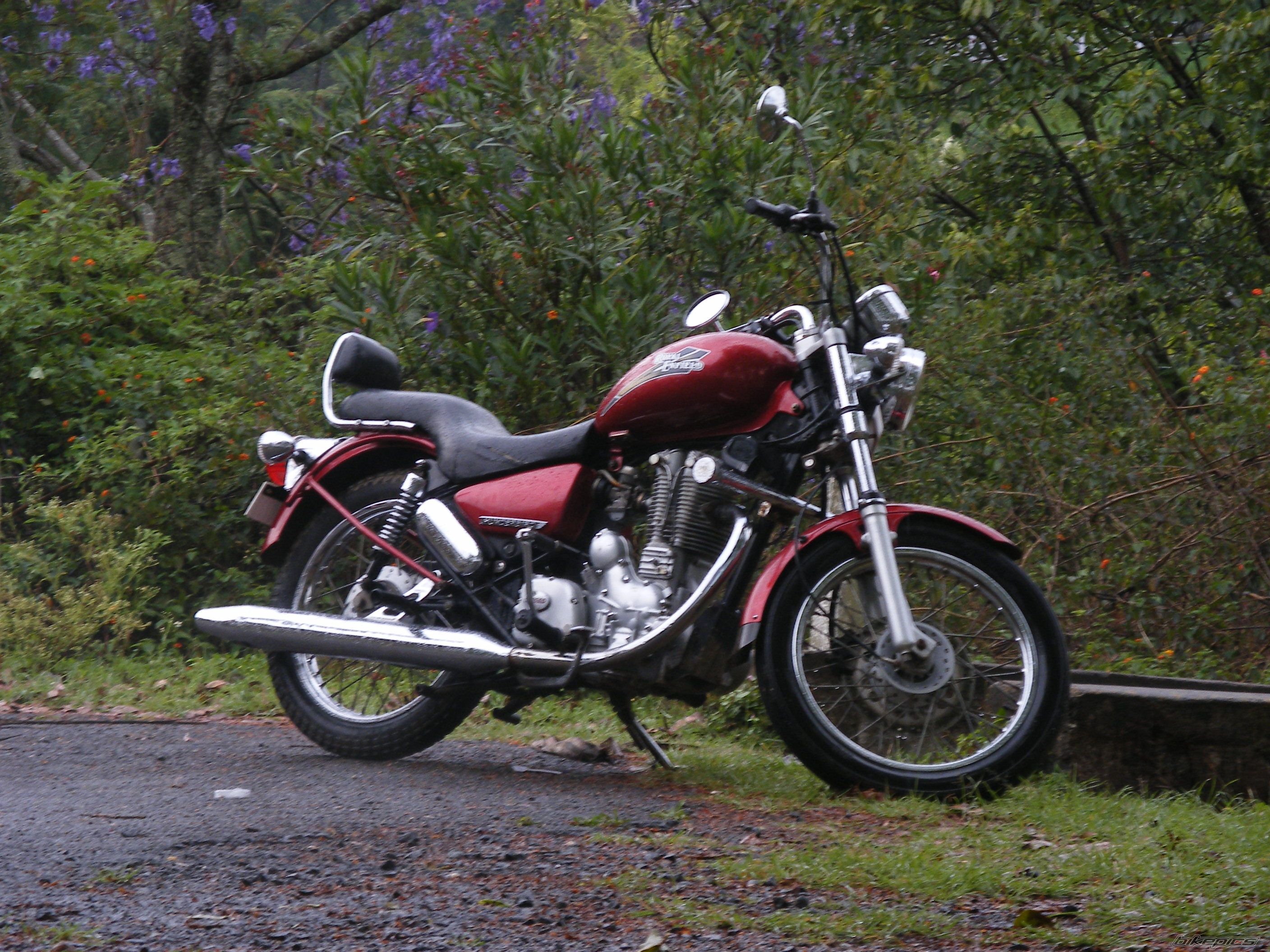 2002 ROYAL ENFIELD THUNDERBIRD | Picture 1256669 motorcycle photo