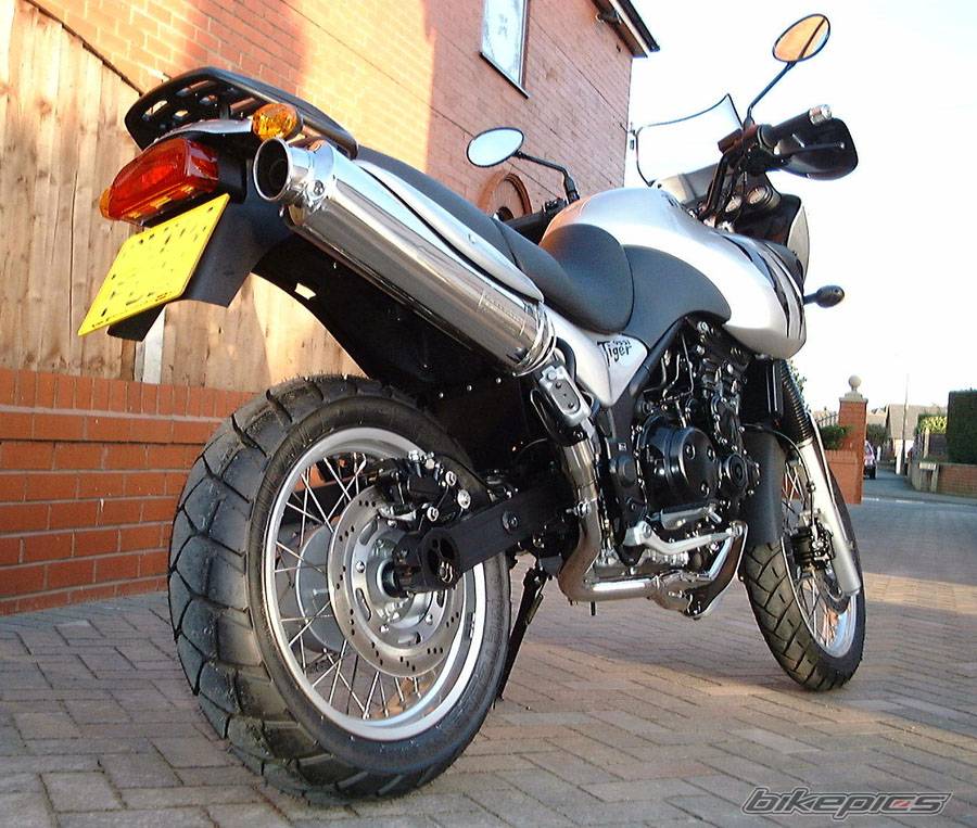 2004 TRIUMPH TIGER | Picture 125691 motorcycle photo