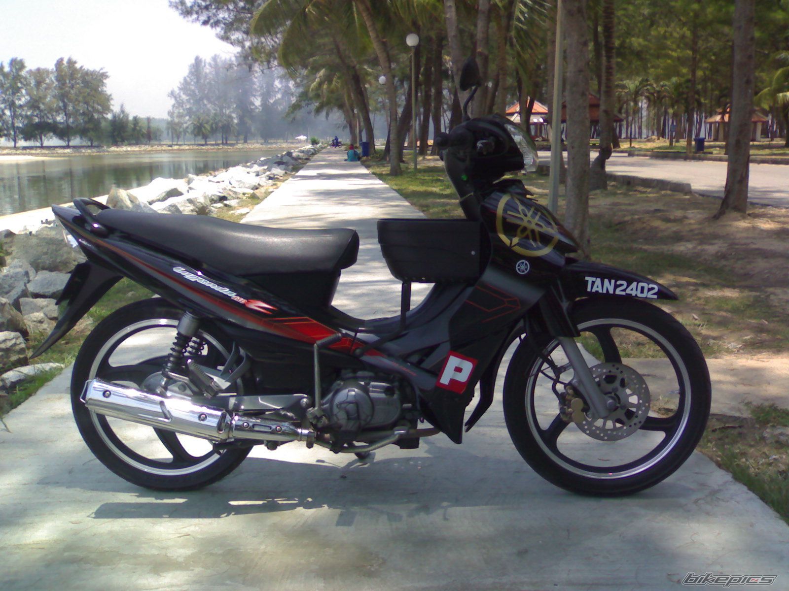 2008 YAMAHA LAGENDA 110 | Picture 1257032 motorcycle photo
