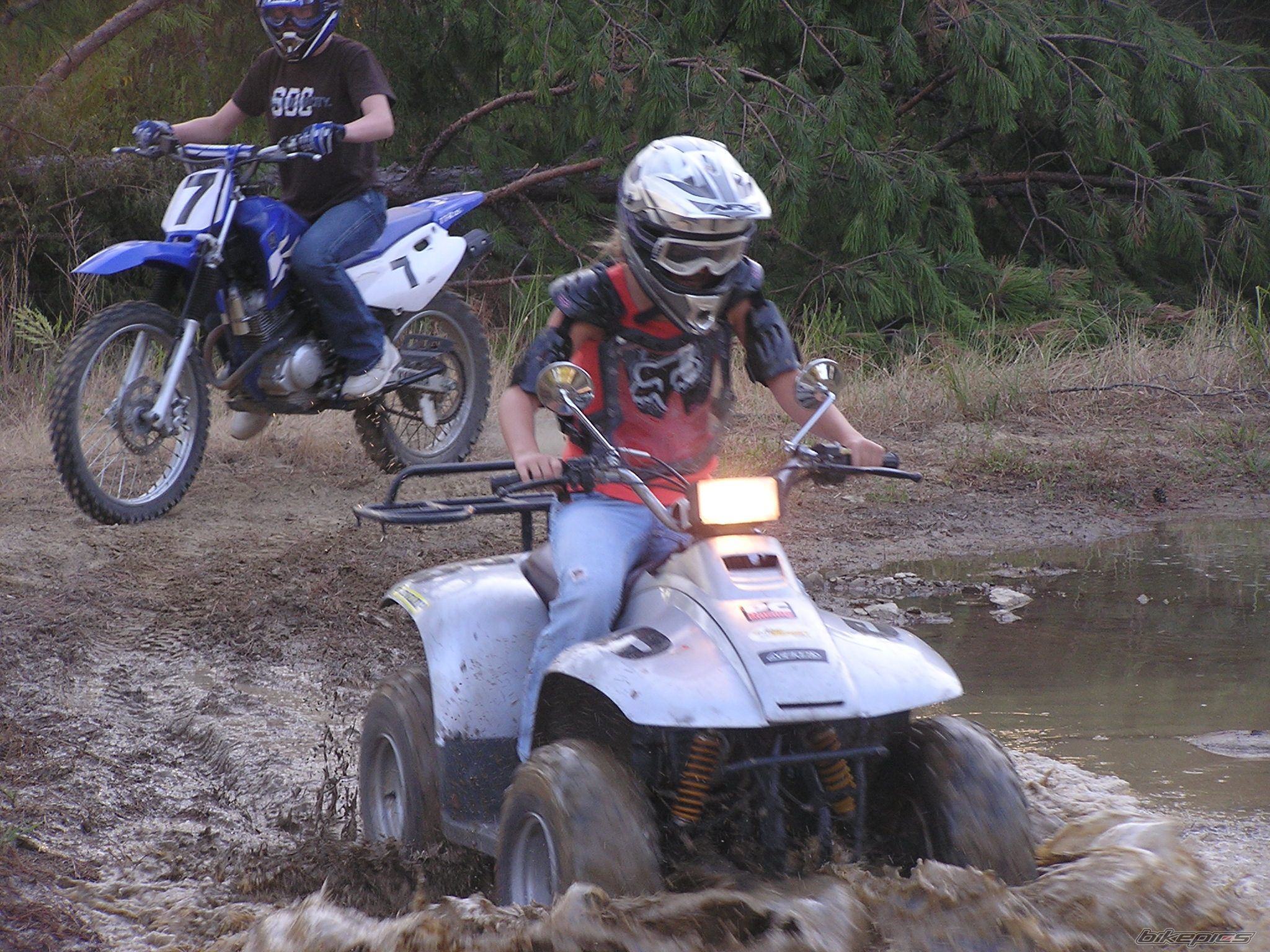 2000 POLARIS PREDATOR 90 | Picture 1257217 motorcycle photo