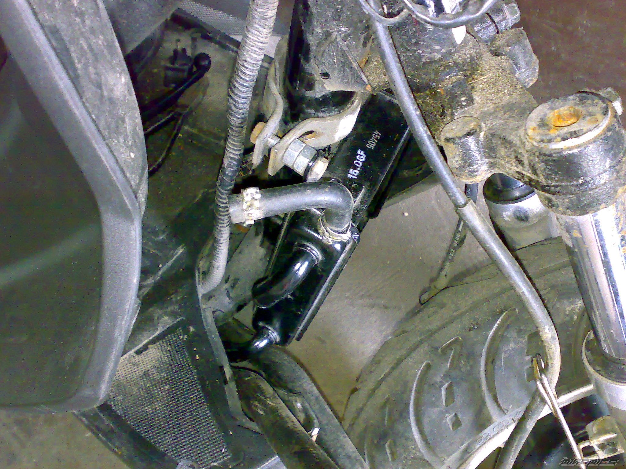 2006 KEEWAY FOCUS 50 | Picture 1257730 motorcycle photo