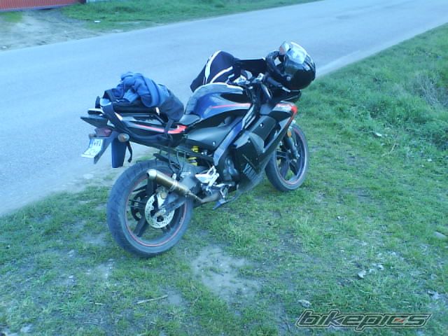 2006 YAMAHA TZR 50 | Picture 1258127 motorcycle photo