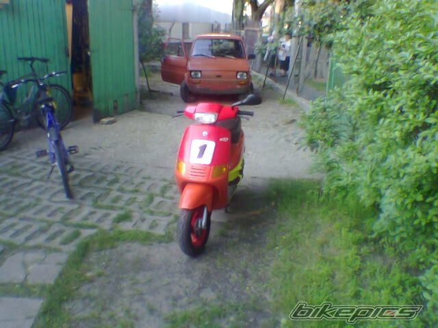 1995 PIAGGIO ZIP | Picture 1258128 motorcycle photo