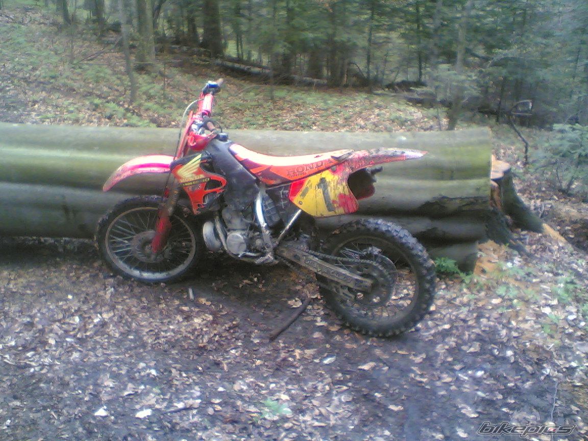 1995 HONDA CR 250 | Picture 1258460 motorcycle photo