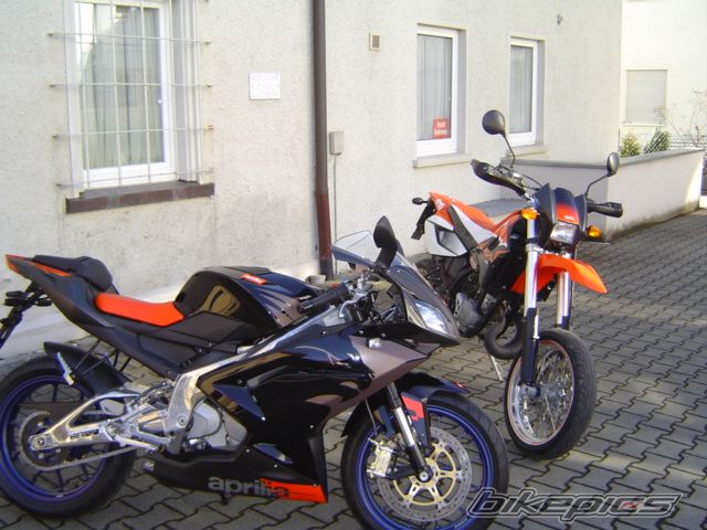 2008 APRILIA RS 125 | Picture 1258469 motorcycle photo