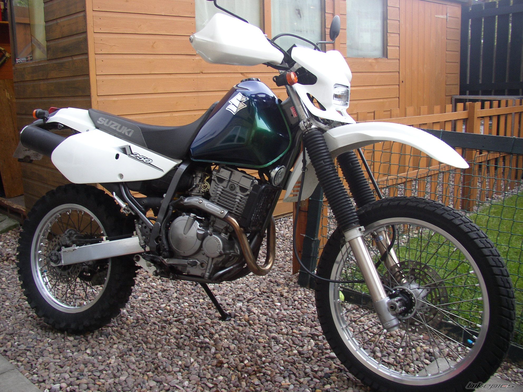 2002 SUZUKI DR 250 | Picture 1258666 motorcycle photo