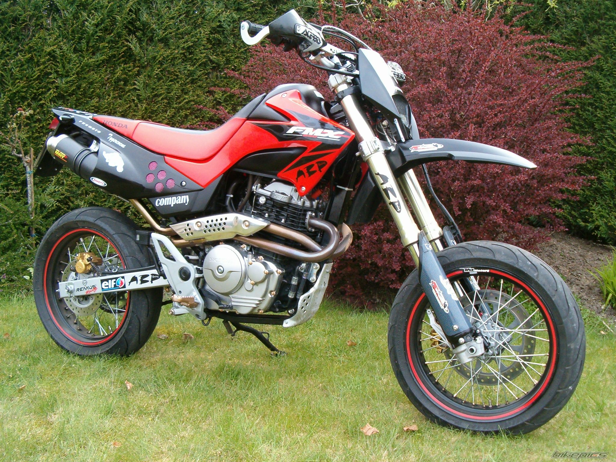 2006 HONDA FMX 650 FUNMOTO | Picture 1258768 motorcycle photo