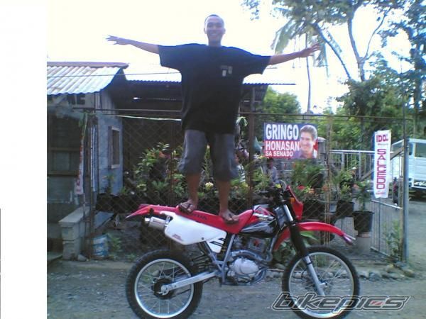 2007 HONDA XR 200 | Picture 1259172 motorcycle photo
