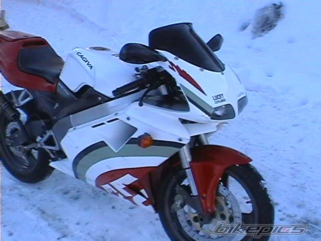 1998 CAGIVA MITO 125 | Picture 125945 motorcycle photo