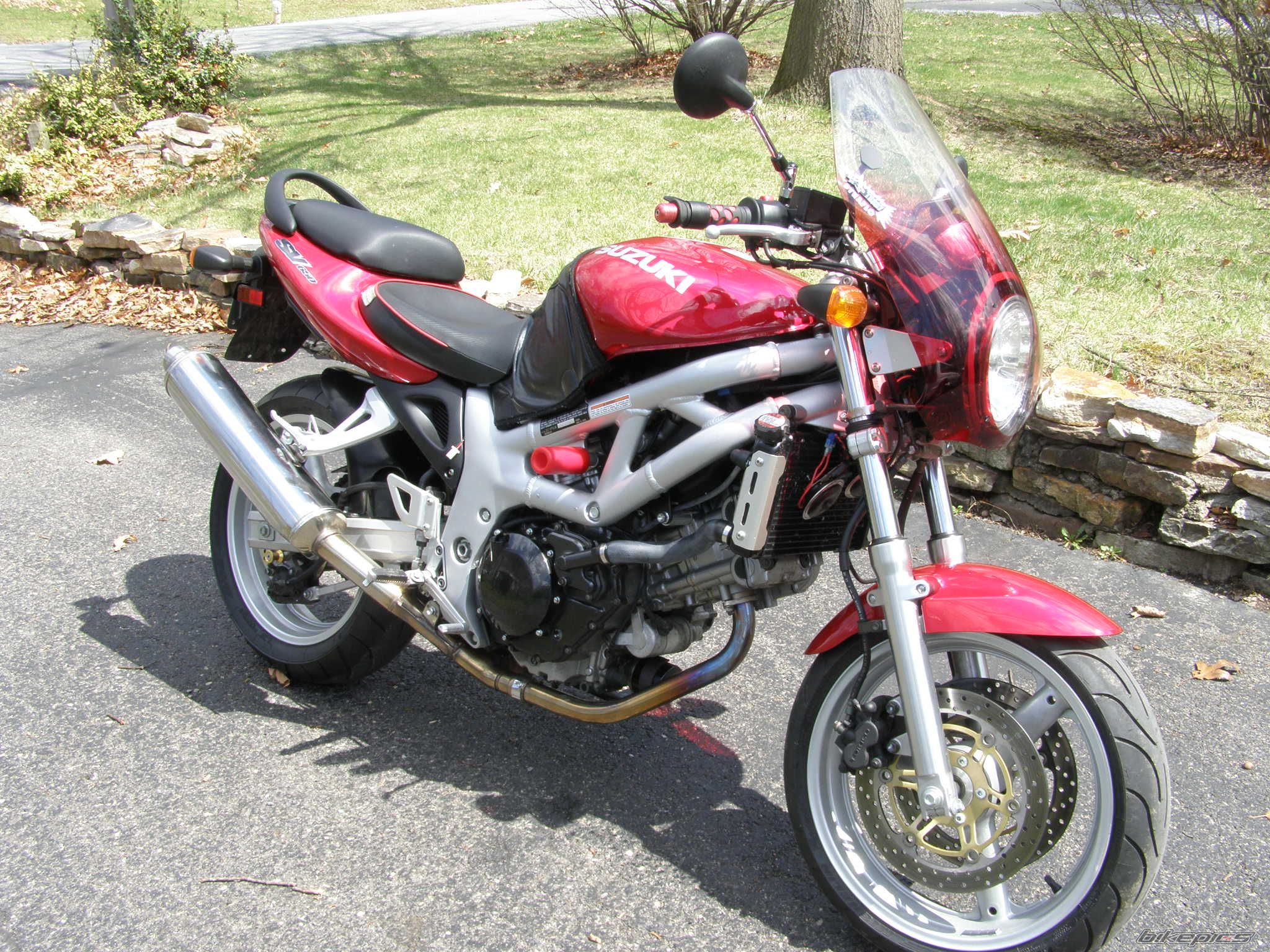 2001 SUZUKI SV 650 | Picture 1259598 motorcycle photo