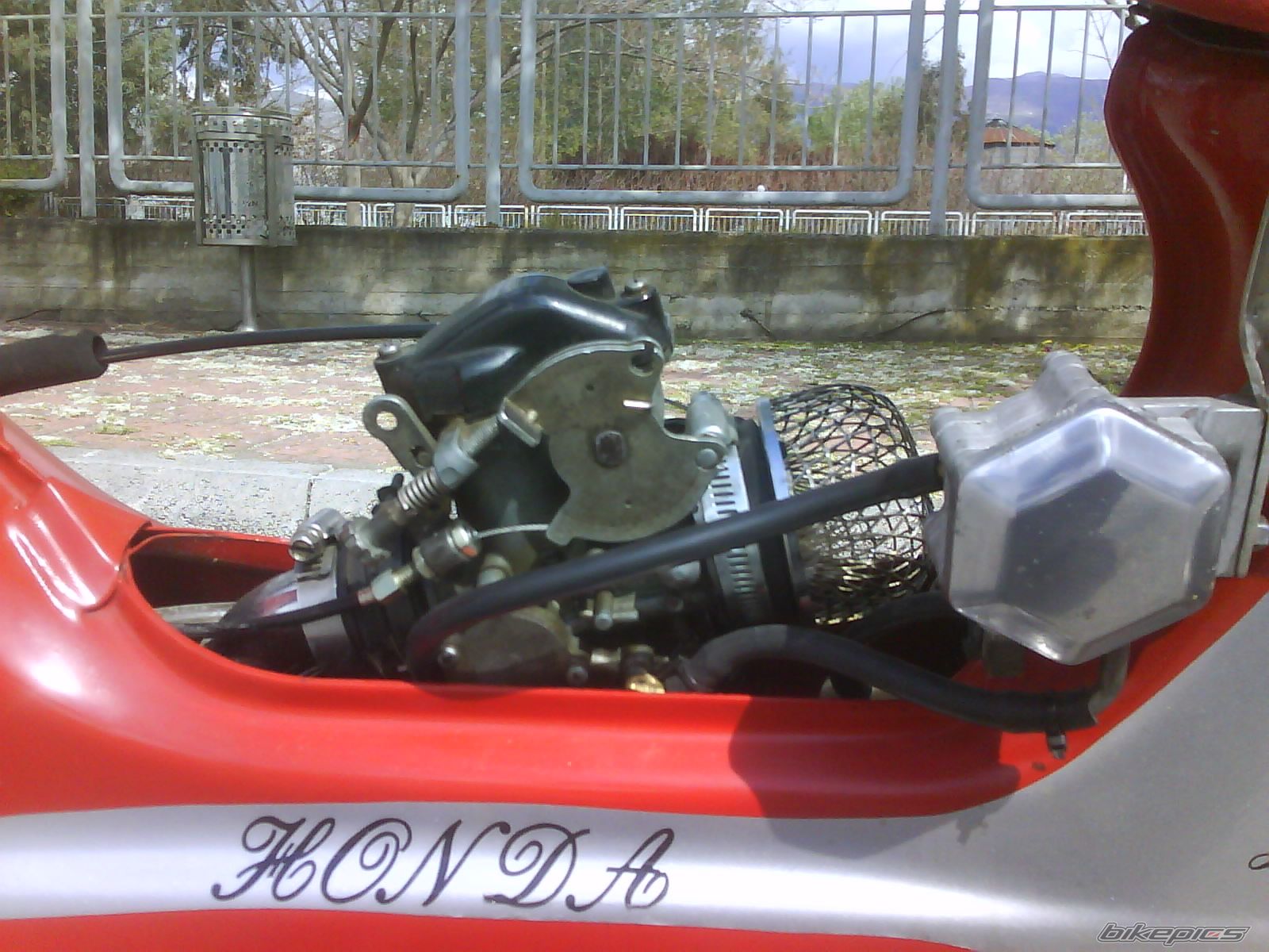 2008 HONDA GLX 50 | Picture 1259695 motorcycle photo