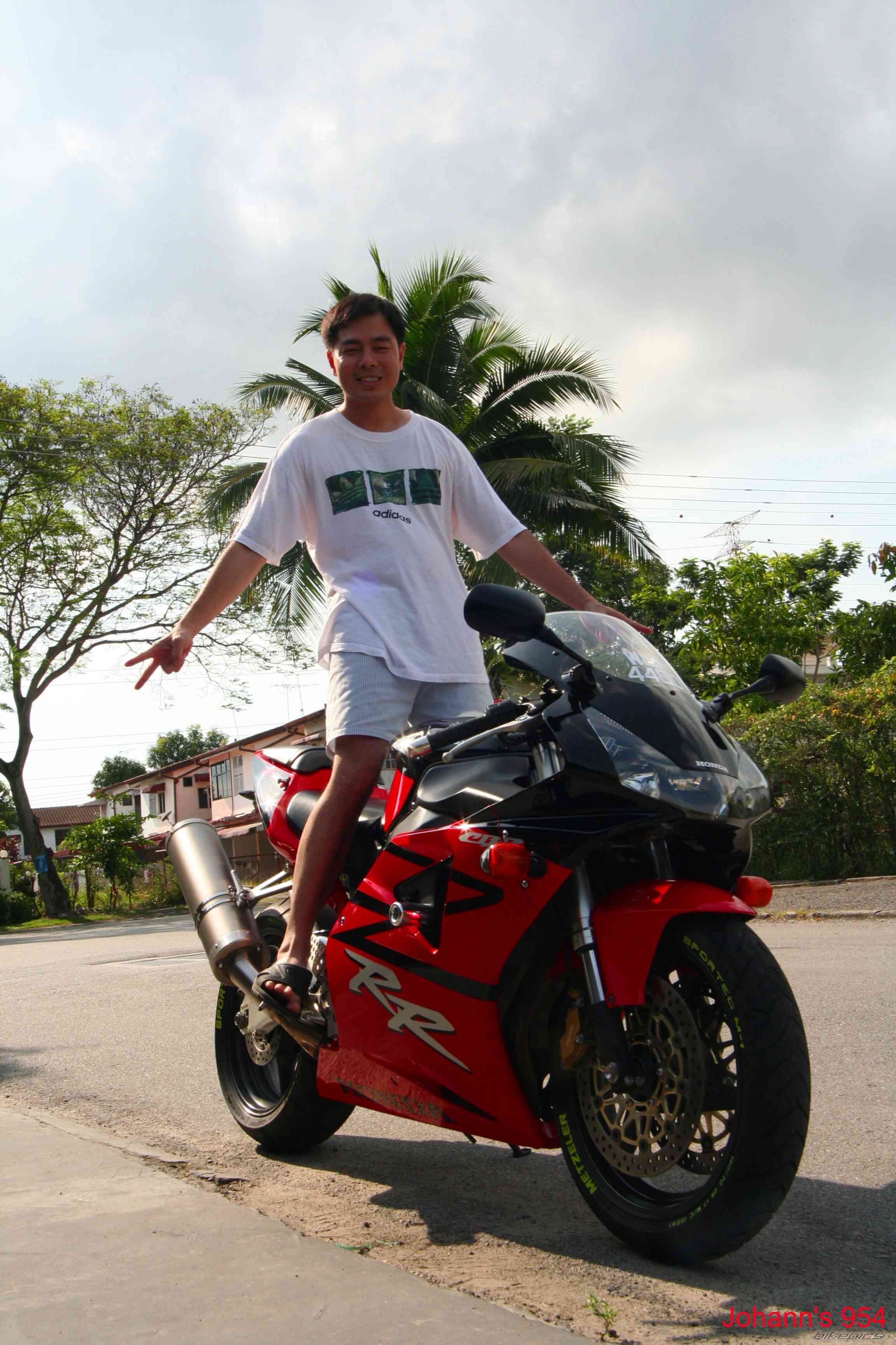 2003 HONDA CBR 900 | Picture 1259727 motorcycle photo