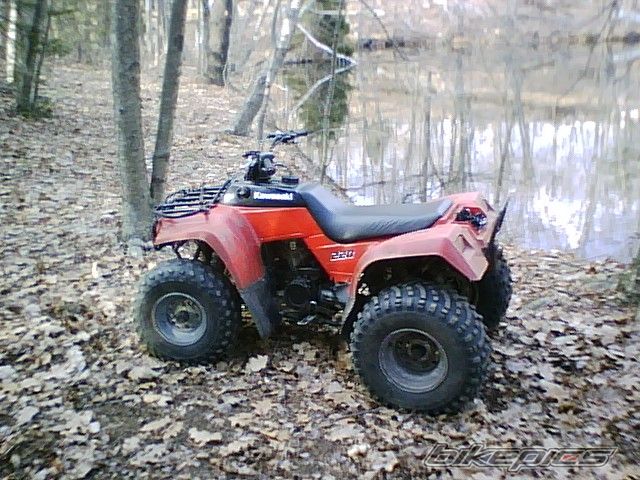 1989 KAWASAKI BAYOU 220 | Picture 1259734 motorcycle photo