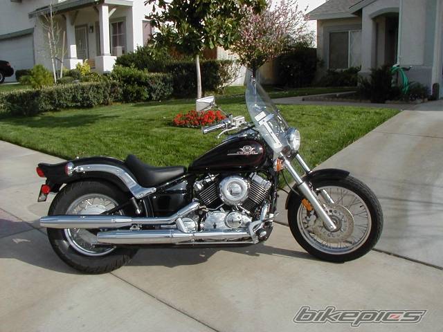 1999 YAMAHA V STAR | Picture 126005 motorcycle photo