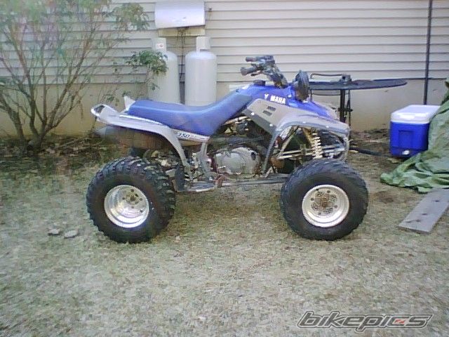 1998 YAMAHA WARRIOR | Picture 1260561 motorcycle photo