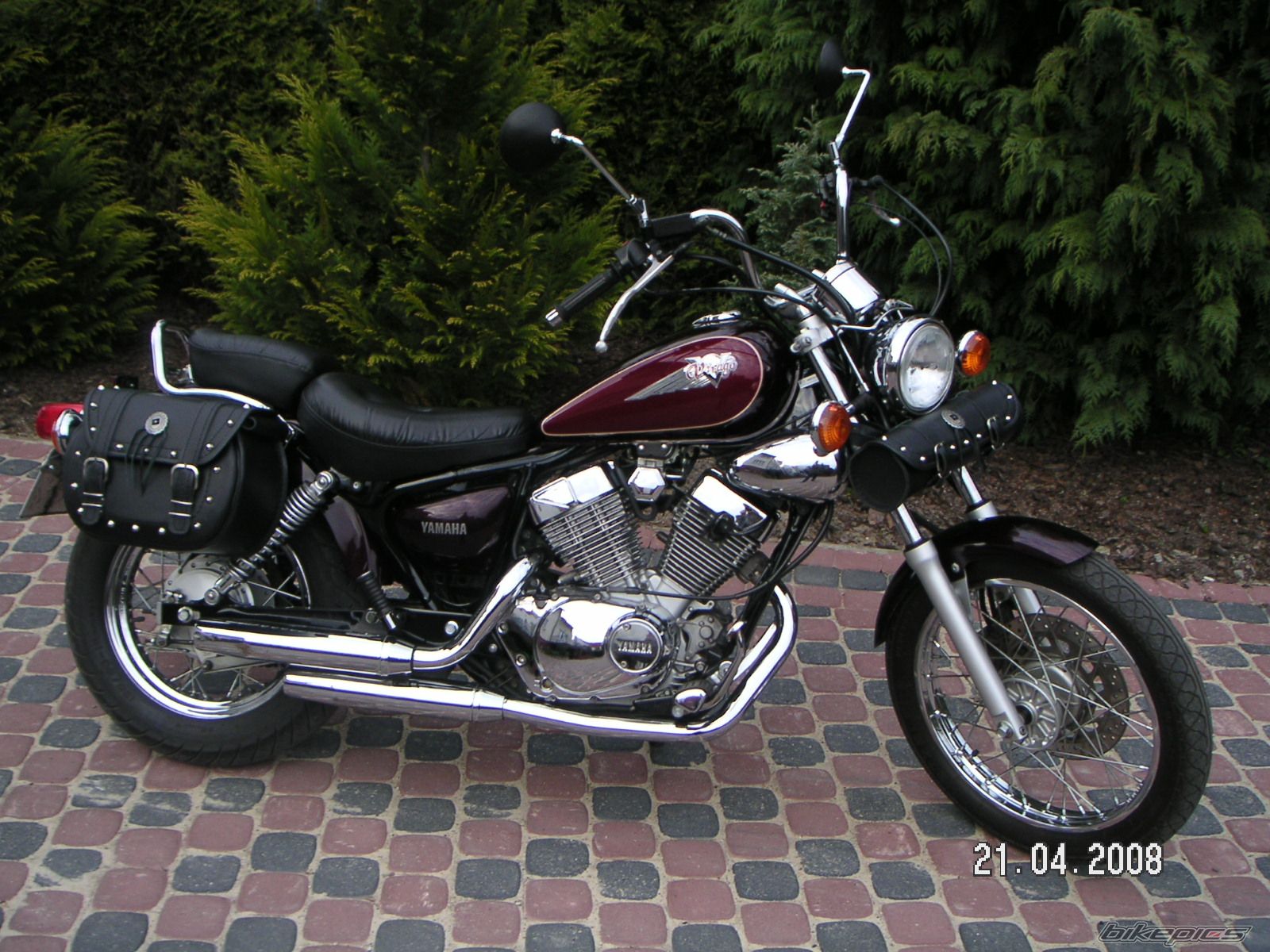 2004 DAELIM S FIVE 50 | Picture 1261226 motorcycle photo