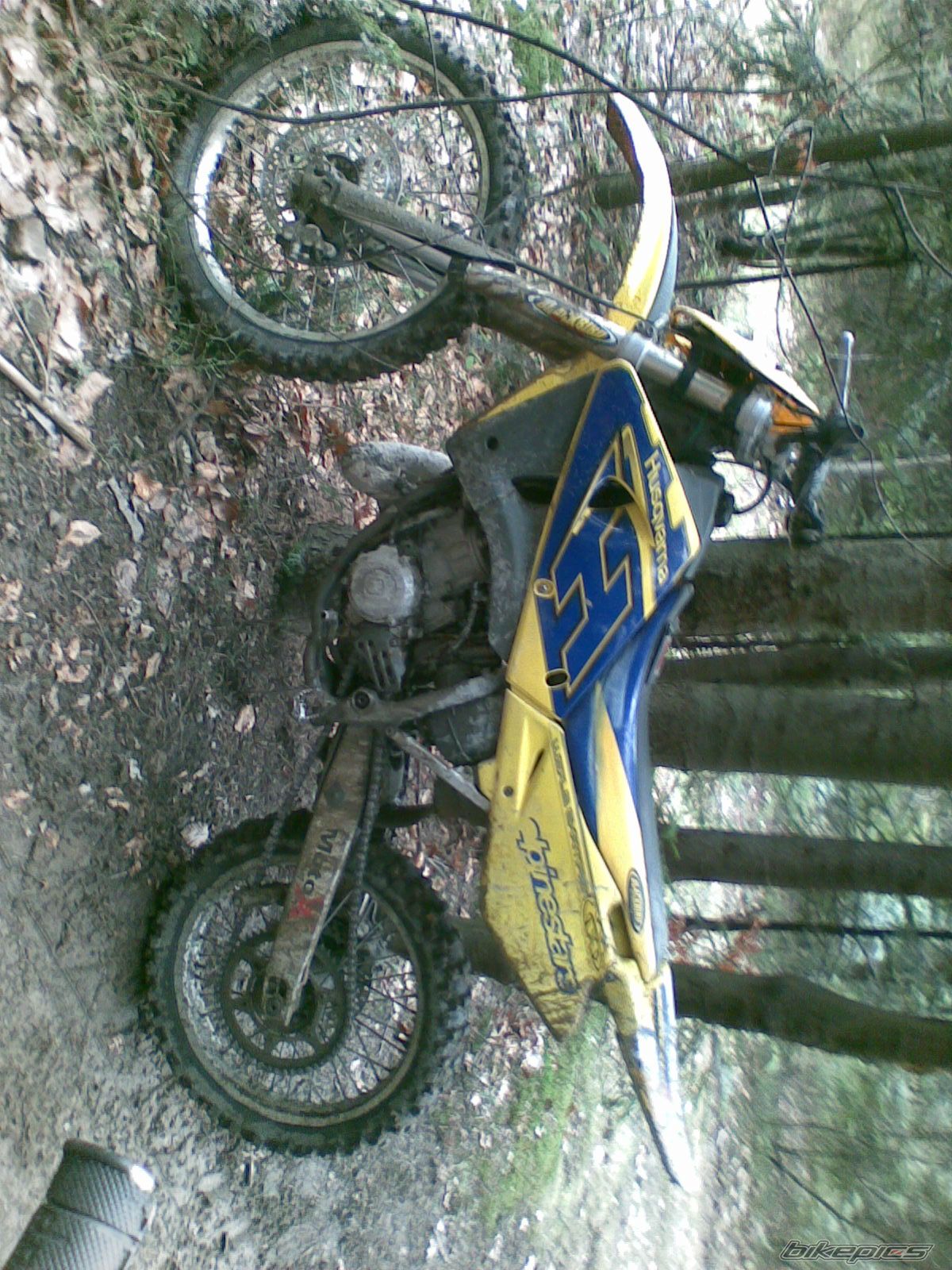2000 HUSQVARNA WR 125 | Picture 1261760 motorcycle photo