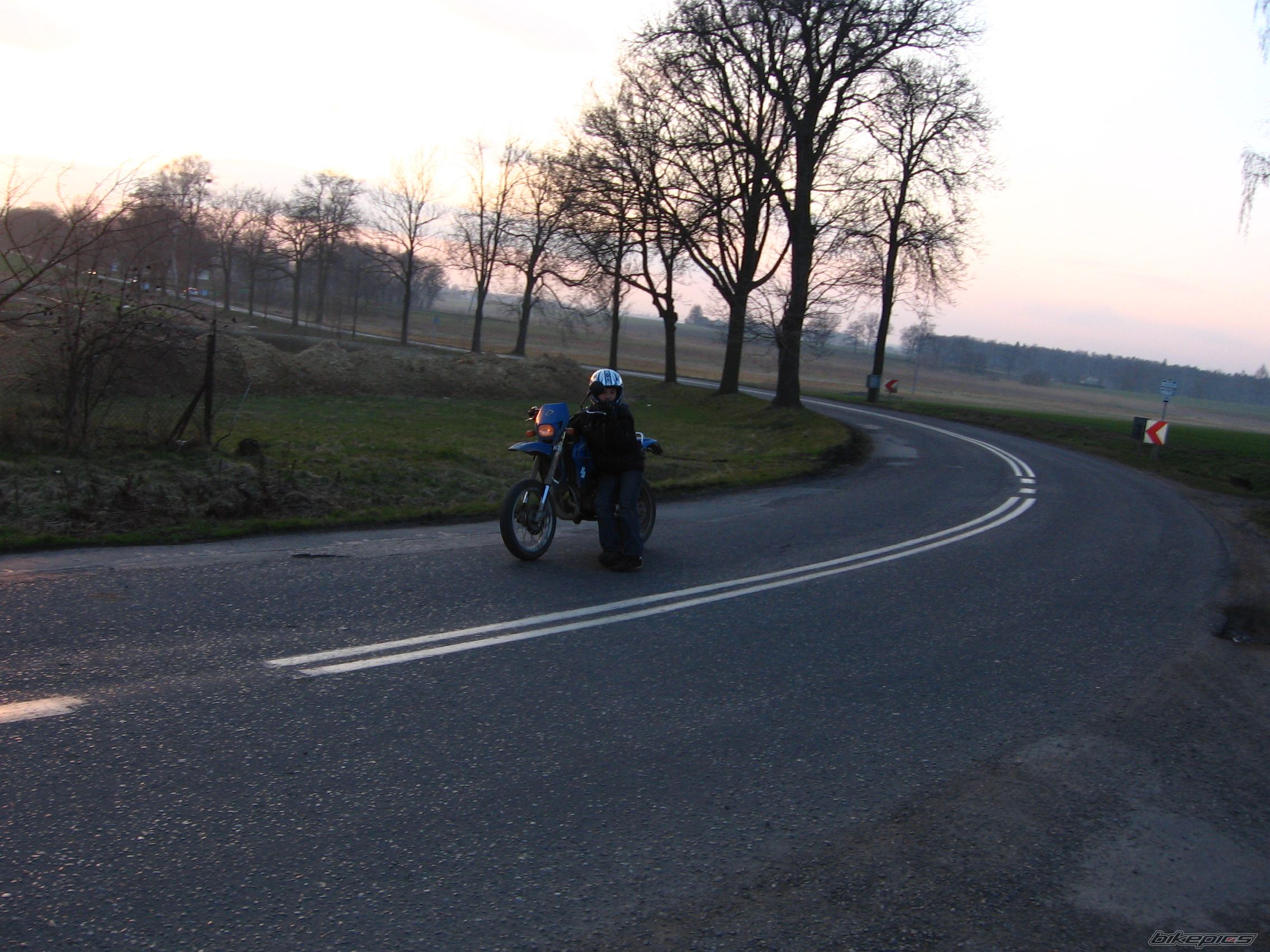 2003 SUZUKI SMX 50 | Picture 1261885 motorcycle photo