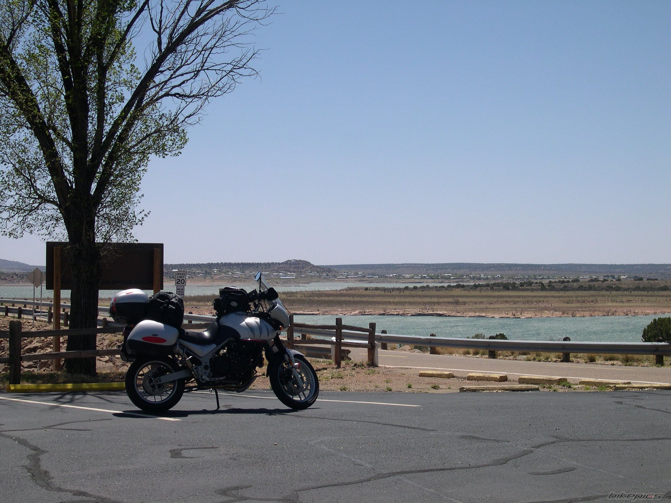 2005 TRIUMPH TIGER | Picture 1262267 motorcycle photo