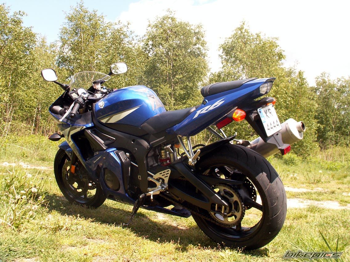 2004 YAMAHA YZF R6 | Picture 1262301 motorcycle photo