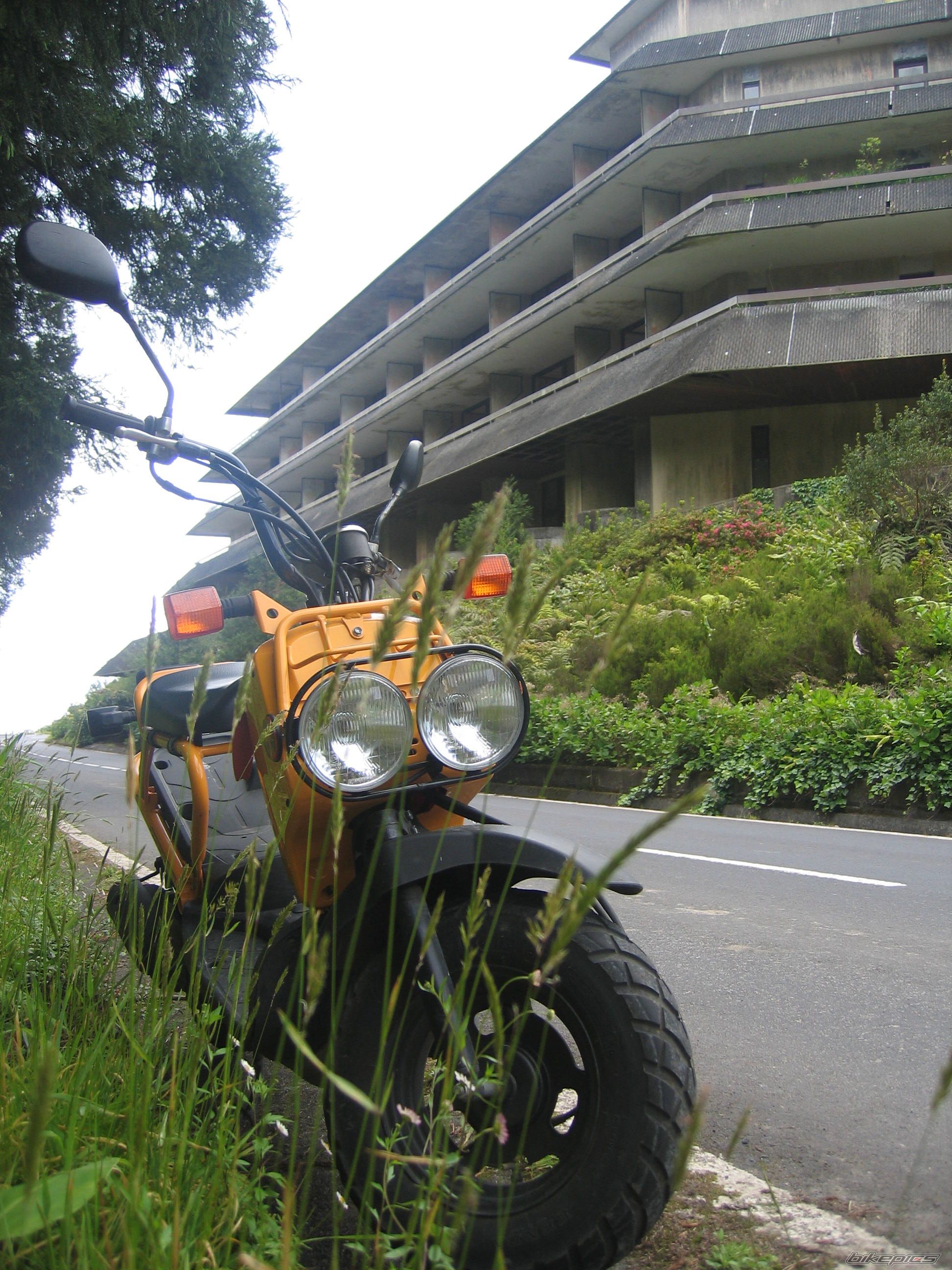 2006 HONDA HONDA  ZOOMER 50 | Picture 1262808 motorcycle photo