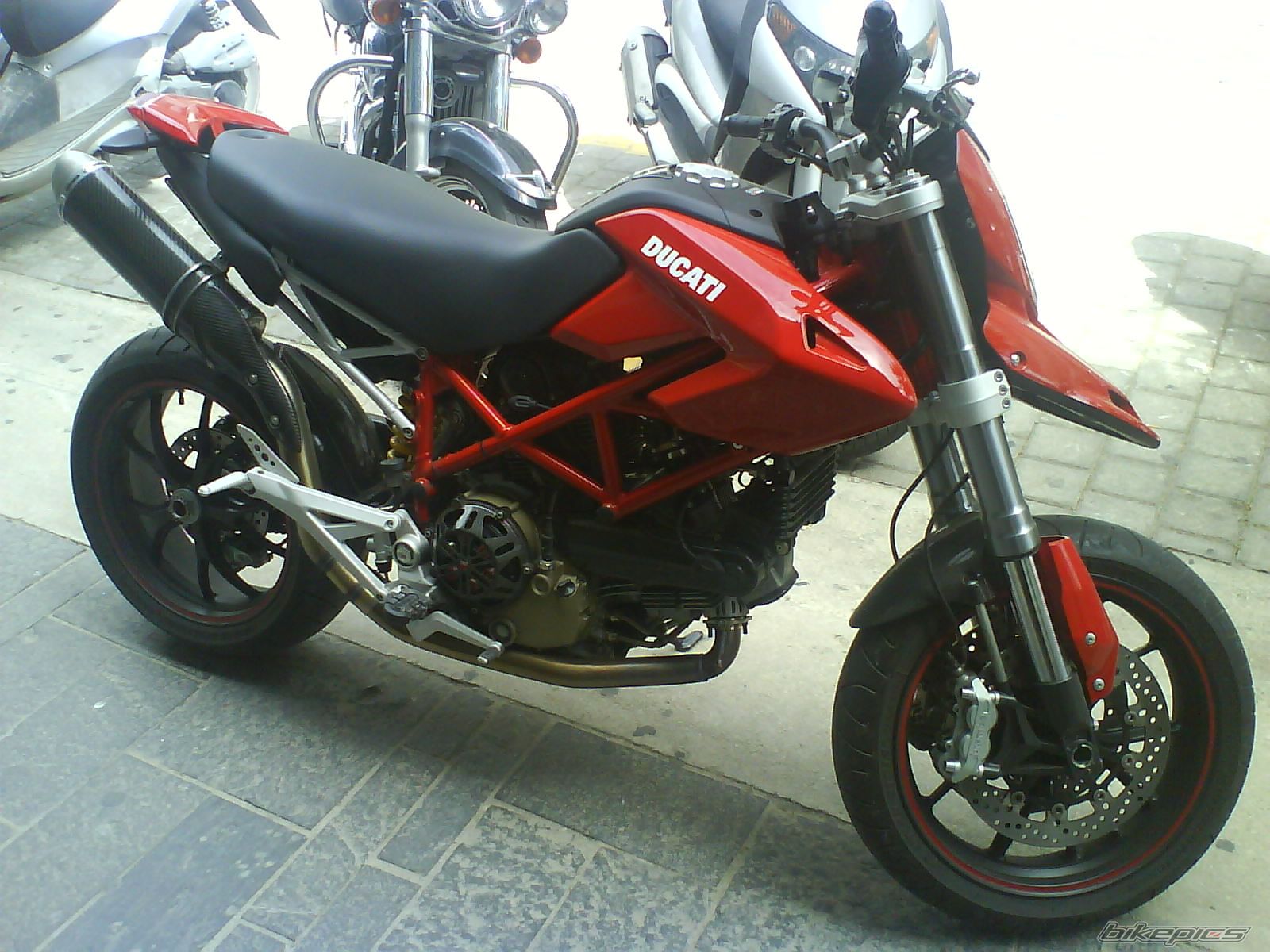 2008 HONDA GLX 50 | Picture 1262963 motorcycle photo