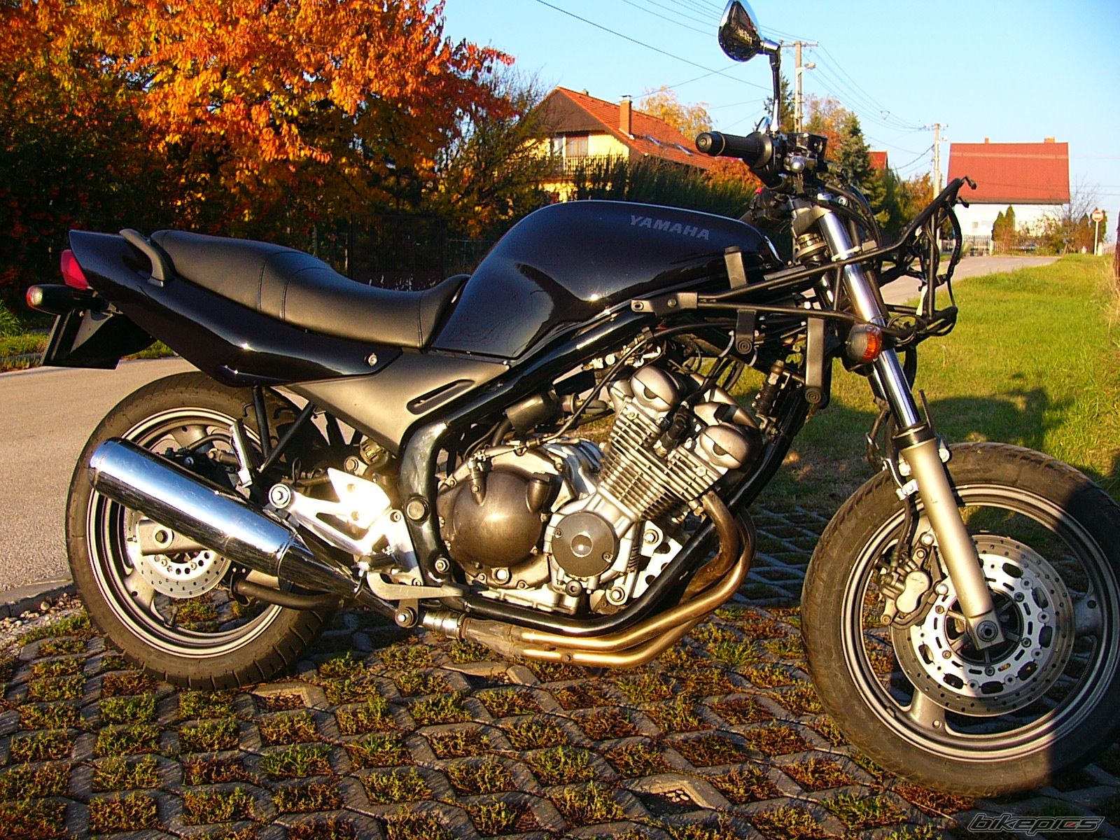 2008 YAMAHA XJ 600 | Picture 1263439 motorcycle photo