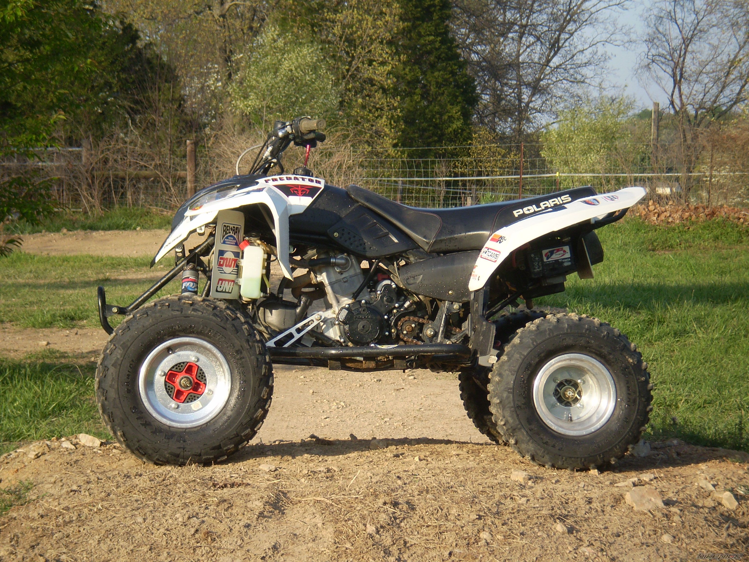 2005 POLARIS PREDATOR 500 | Picture 1263588 motorcycle photo