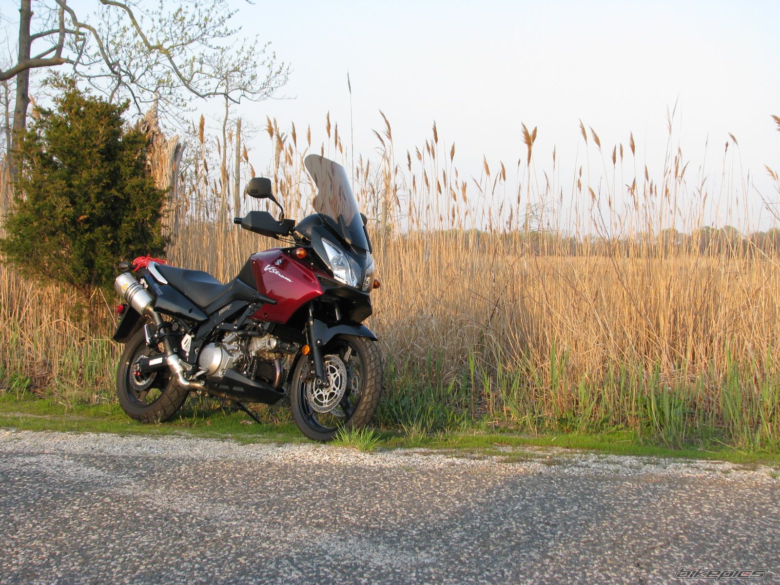 2006 SUZUKI DL 1000 | Picture 1264250 motorcycle photo