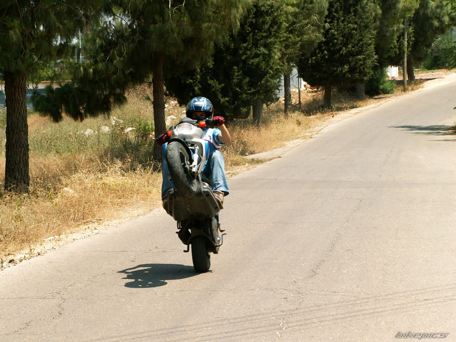 2001 YAMAHA SLIDER 50 | Picture 1264267 motorcycle photo