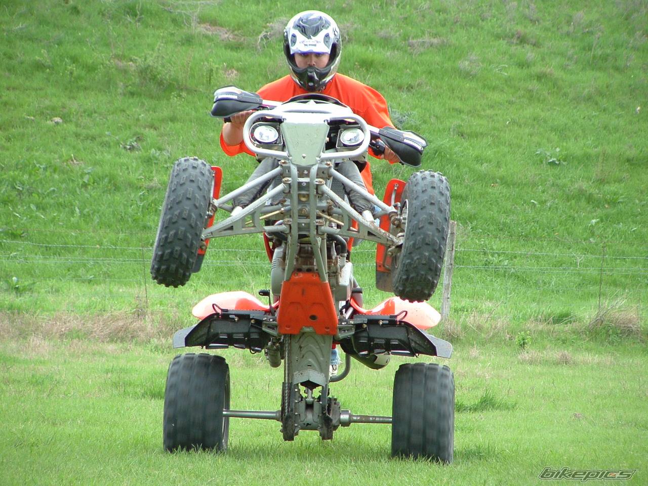 2003 BOMBARDIER DS650 BAJA | Picture 126428 motorcycle photo