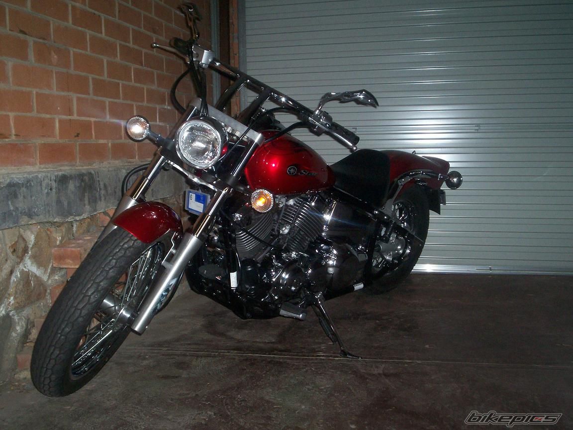 2008 YAMAHA XVS 650 V STAR | Picture 1264411 motorcycle photo