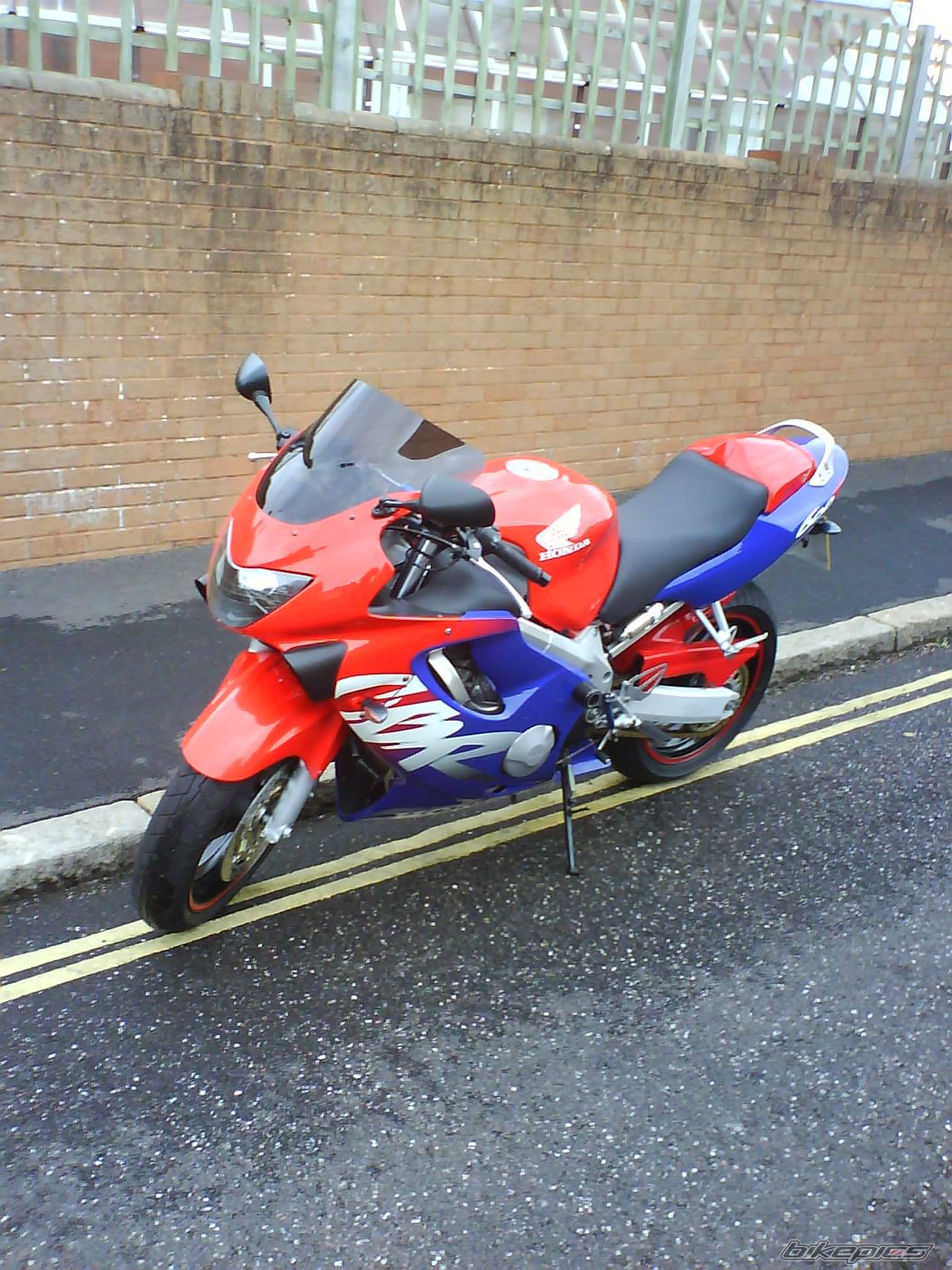 1999 HONDA CBR 600 | Picture 1264574 motorcycle photo