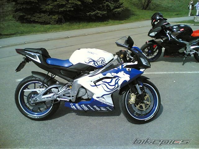 2008 APRILIA RS 125 | Picture 1264629 motorcycle photo