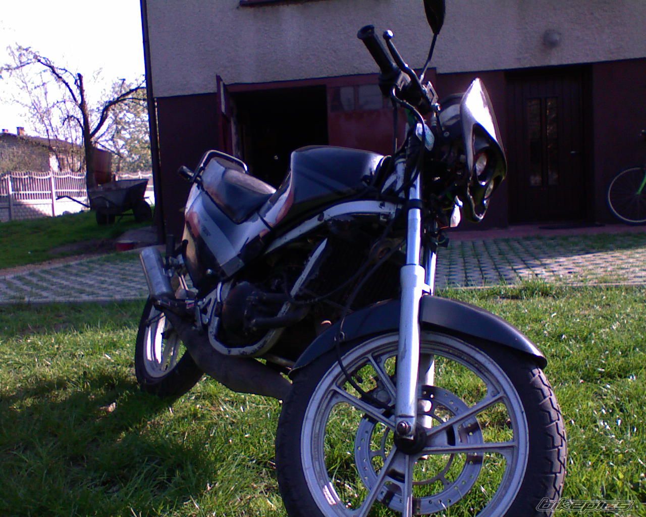 1992 SUZUKI RG 80 | Picture 1264911 motorcycle photo